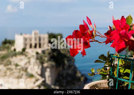 Rote Dipladenia im Vordergrund, Santuario di Santa Maria dell`Isola di Tropea verschwimmt im Hintergrund Stockfoto